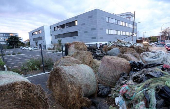 Anger of farmers: what to expect this Tuesday in Tarn-et-Garonne?