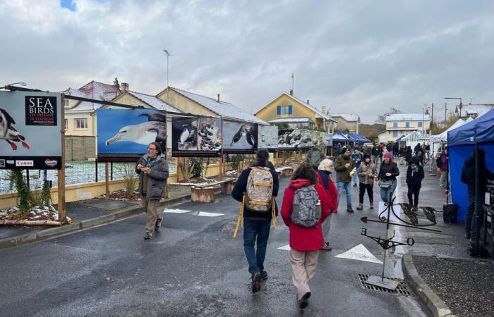 Reunion and Saint-Pierre and Miquelon at the heart of one of the biggest nature photo festivals in Europe