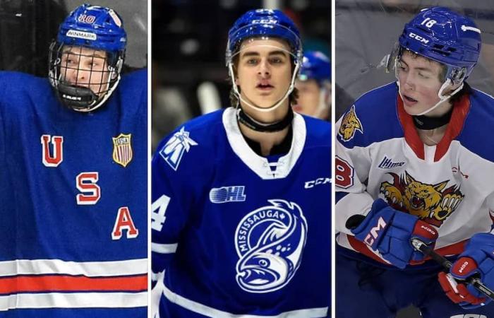 NHL Draft: a surprise number one for this expert, a Quebecer in the top-10