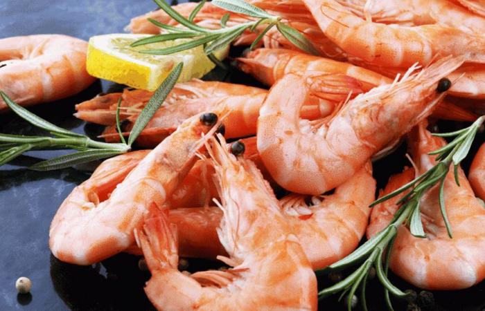 Less madness at the coast? North Sea prawn prices could reach record highs