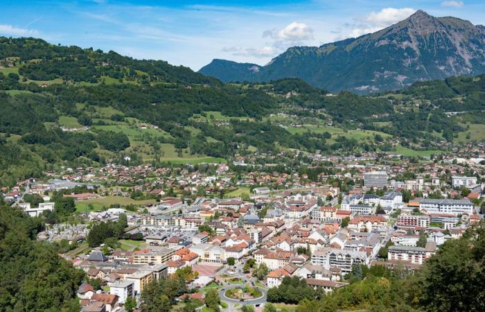 How energy performance is shaking up the real estate market in Haute-Savoie – Actual Immo