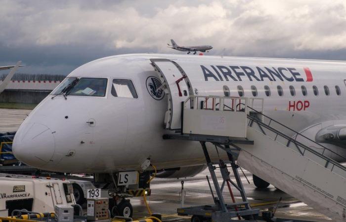 “The thermometer has dropped to – 2°C”: a Czech tourist searches for her dog at Roissy-Charles de Gaulle airport, the animal escaped from the hold of an Air France plane