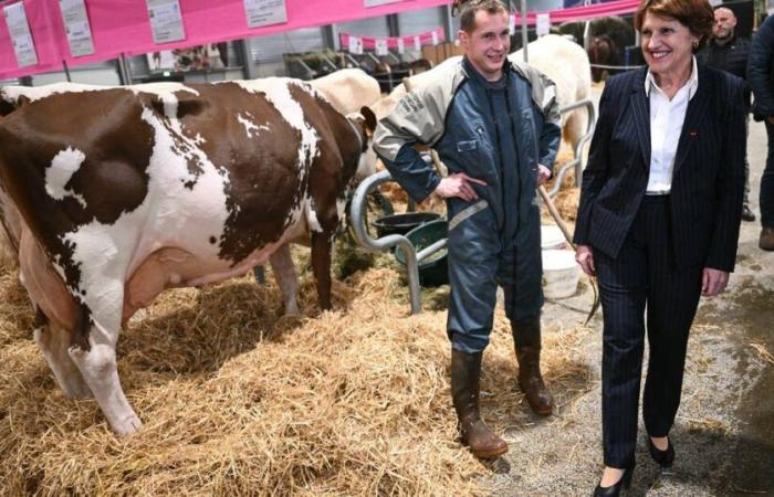 Annie Genevard Minister of Agriculture, an appointment which raises questions in the face of the crisis – Libération