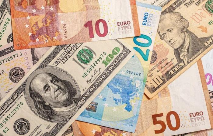 euro falls, dollar stable on black currency market