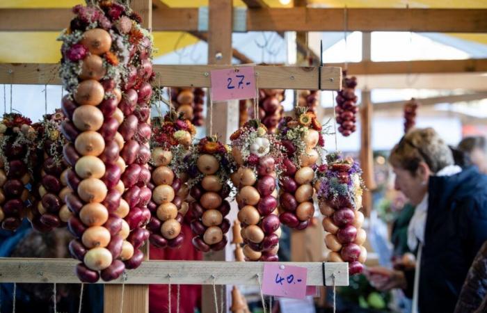 Zibelemärit in Bern: 33,655 kilos of onions were on offer