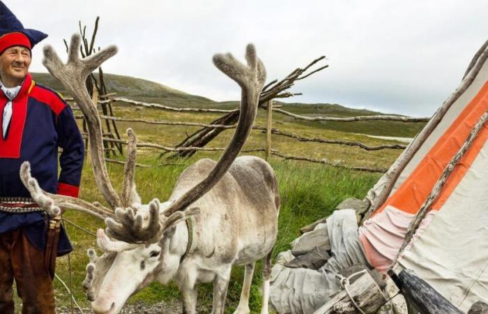 The Sami, a way of life and a language threatened by global warming – rts.ch