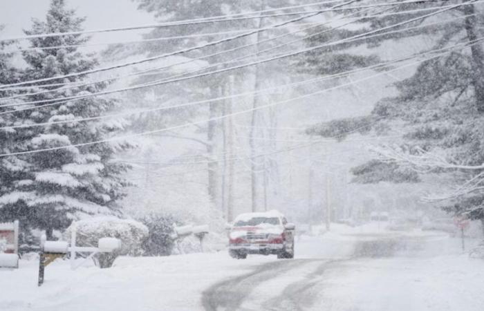 North America: towards the first cold snap at the end of the week