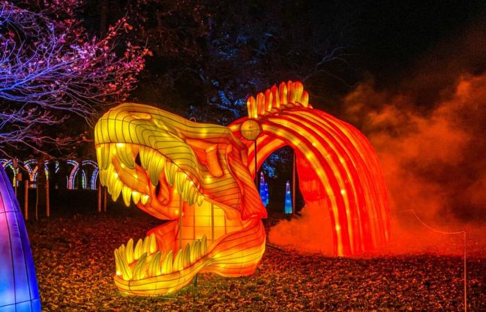 The Luminous Odyssey at Parc Floral 2024 immerses us in tales and dinosaurs this year