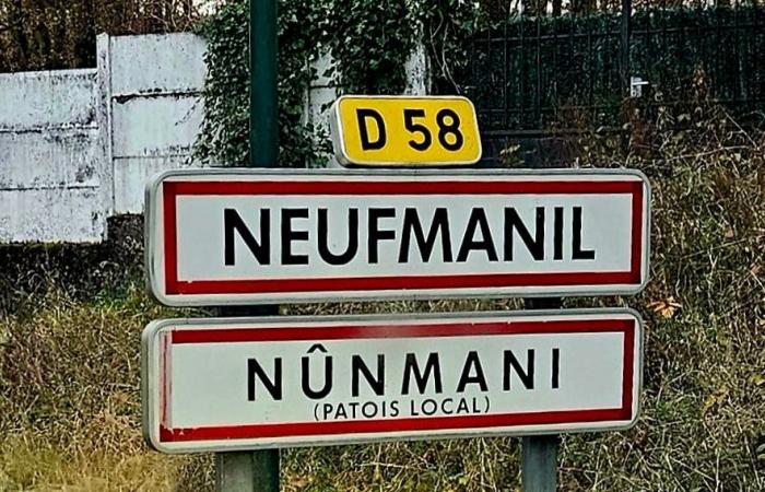 Suc' galette, soft cake and carnival: taste the charm of Neufmanil in the Ardennes!