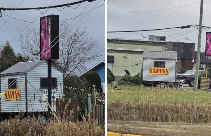 Christmas trees on sale in the parking lot of a nude dancer bar in Montérégie make Internet users smile