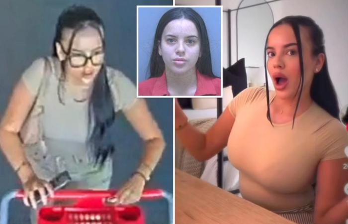 TikTok influencer Marlena Velez arrested after allegedly flaunting shoplifted Target goods on video