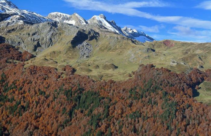 record nighttime heat due to a foehn effect on the Pyrenees