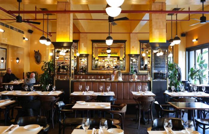 Restaurant review | Brasserie Bernard: classic!