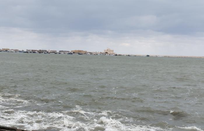 Alexandria’s weather is unstable… very cold with active wind movement… video and photos