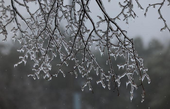 Freezing rain expected Tuesday in certain regions of Quebec