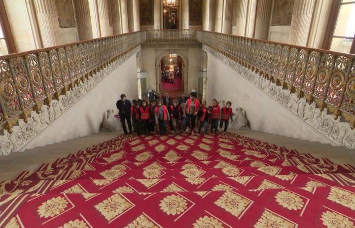 VIDEO – When politics fascinates: the day students sat in Parliament