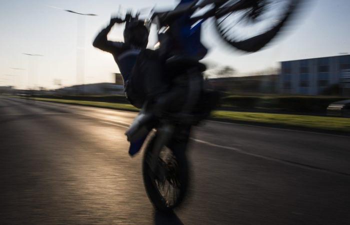 A young girl killed instantly in an urban rodeo, the victim was not wearing a helmet