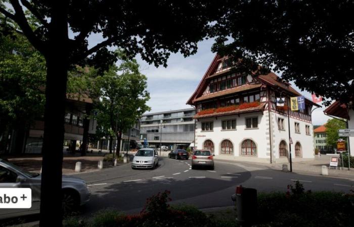 Canton of Zug takes over civil registry office due to irregularities