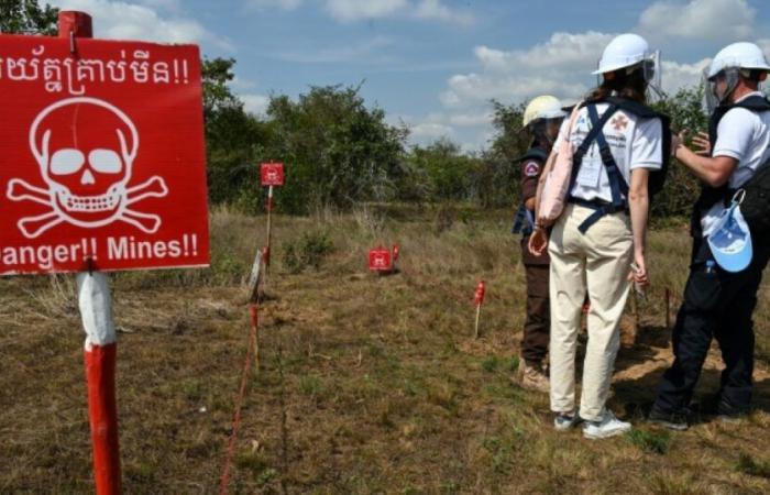 Arms sale to Ukraine: UN denounces “renewed threat” of antipersonnel mines: News