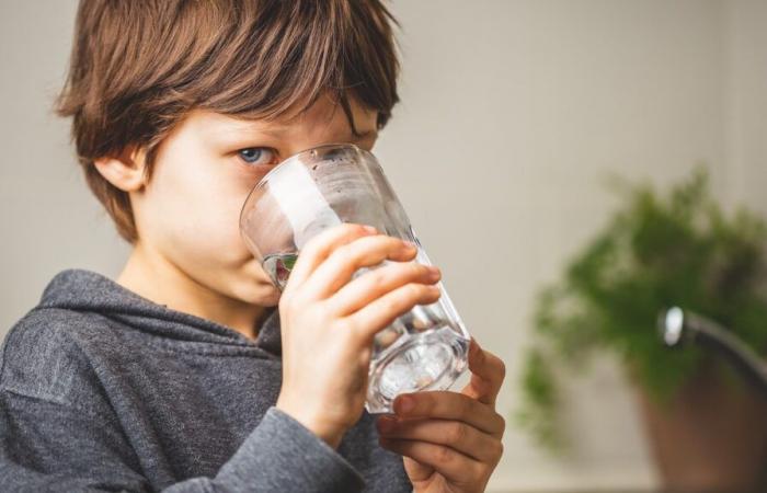 We know more about the toxicity of chlorinated tap water