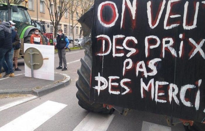 Anger of farmers: new mobilizations in Côte-d’Or and Saône-et-Loire