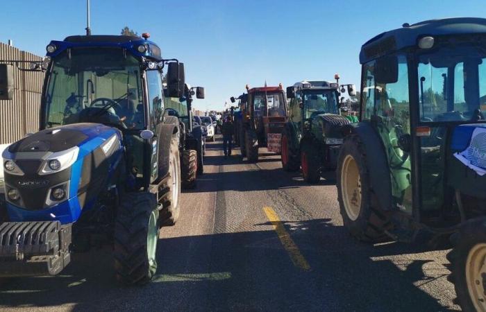 Vierzon: farmers mobilized at the toll booth between the A20 and A71 motorways