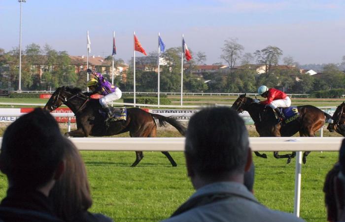 “A spectacular fall in the middle of the straight”, Spanish jockey Ioritz Mendizabal seriously injured during a horse race