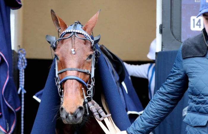 Benjamin Rochard in the saddle on Granvillaise Bleue