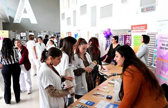 40 serious danger telephones deployed, complaints collected at the hospital, treatment of the perpetrators… Where is the fight against violence against women in Aude?