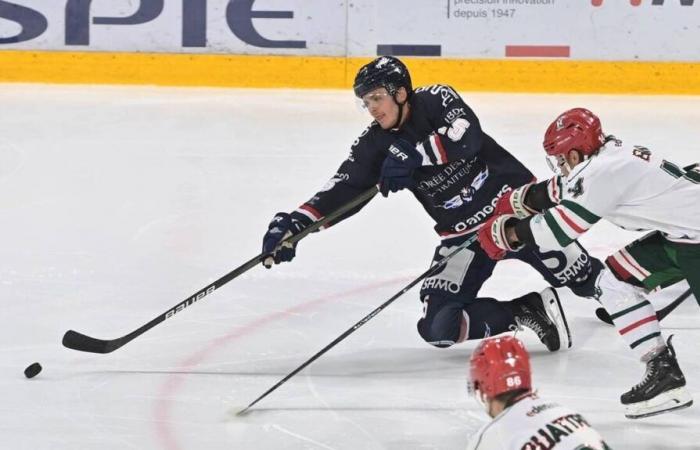 Ice hockey – Coupe de France (8th). With the Dukes of Angers, it’s Tavernier’s tour