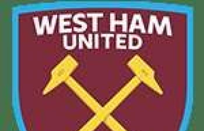 Beaten at home by West Ham, Newcastle loses weight – Premier League – J12 – Newcastle-West Ham (0-2)