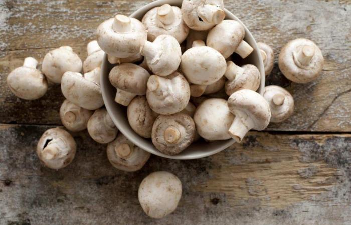 Button mushroom extract slows the growth of prostate cancer, study finds