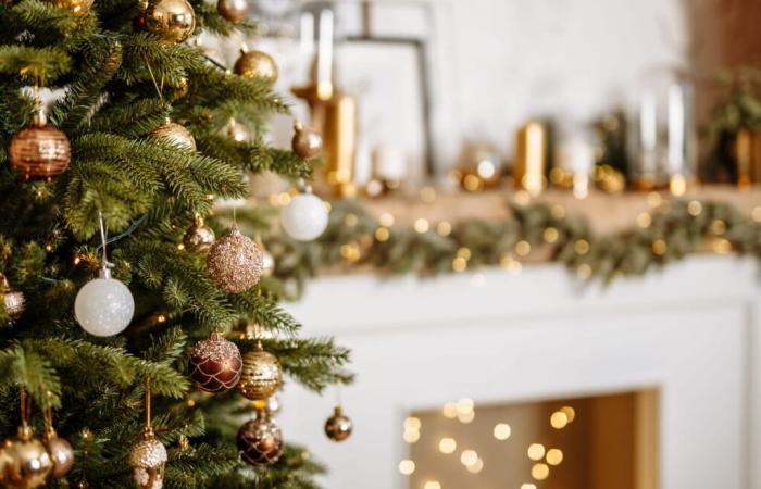 The ultra-popular 2,000-euro Christmas tree on TikTok is half price