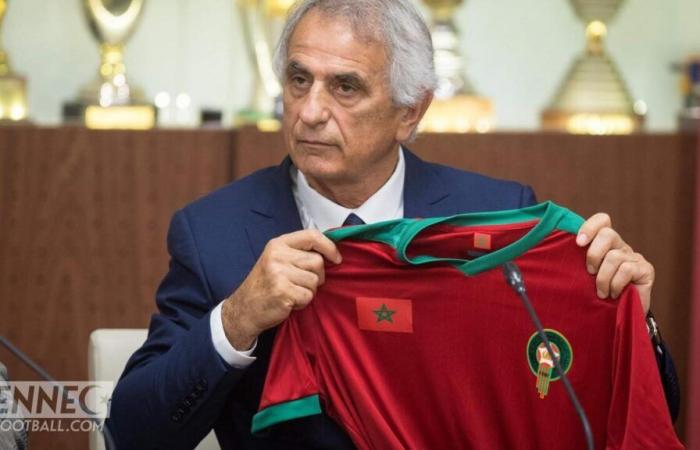 “I was taken for an idiot”: Halilhodzic smashes Morocco