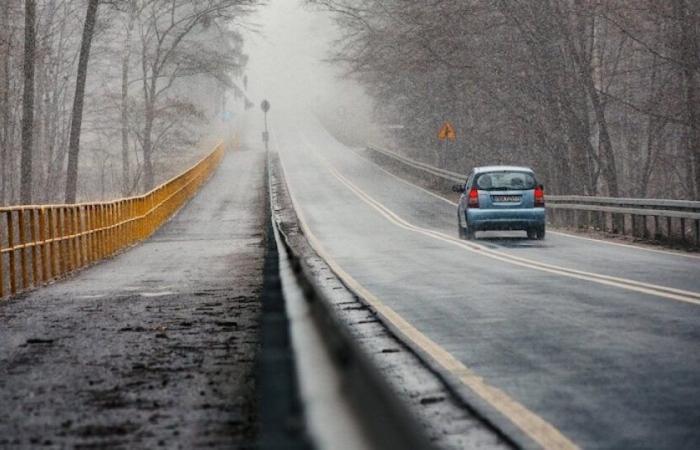 Val-de-Marne: a man seriously injured the evening of Storm Caetano has died: News