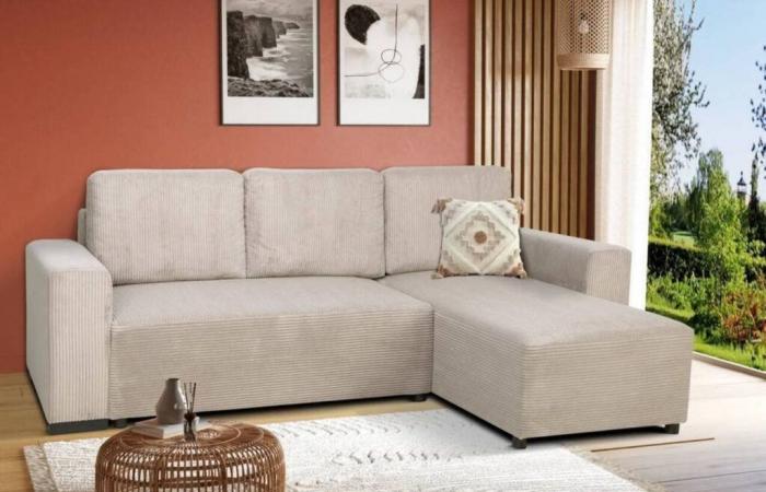 a BUT sofa for almost €500!