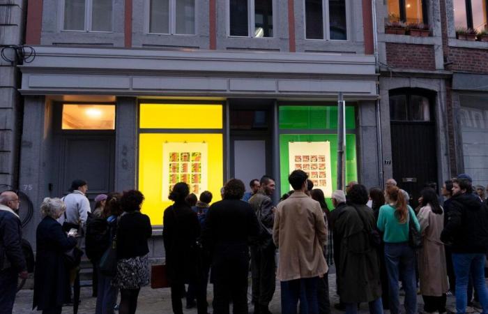 #Exhibitions in empty windows in the city center: the initiative of a Liège non-profit organization