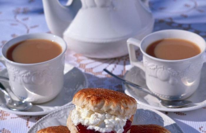 Do you want a cup of tea? If the answer is yes, go to the restaurant “Le Jeu de Paume” in Pau