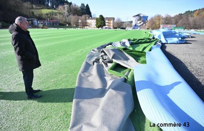 Trees, roofs, stadium: the wind caused damage during the night from Sunday to Monday