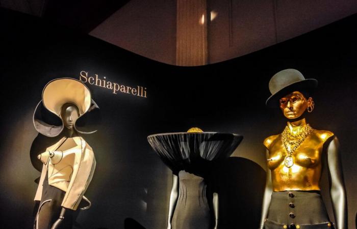 Free evening at the Palais Galliera: wear your best hat to discover this exhibition