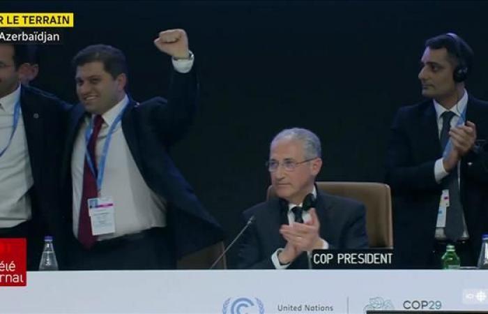 COP29 leaves a bitter taste for developing countries and environmental groups | Climate: where are we?