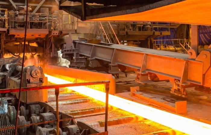 ArcelorMittal puts pressure on the EU and the government