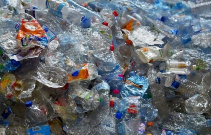 Waste sorting: the French are making progress on plastic, but remain far from the European objective: News