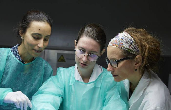 In Geneva, these three researchers who hold high the banner of the clit