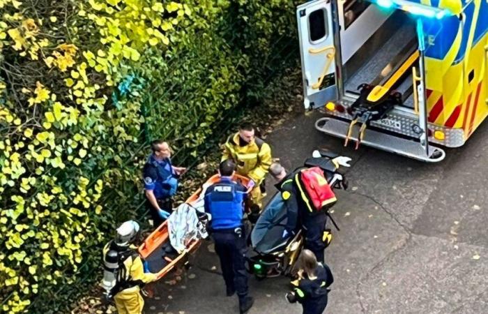 Geneva: A child injured by a booby-trapped device in Grange-Canal