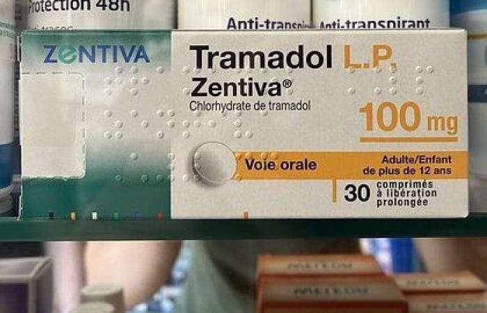 Tramadol and codeine on secure prescription: the measure postponed until March 1, 2025, concerns around the risk of “opiophobia”