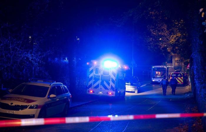 Intervention in Geneva: Major police operation in Grange-Canal