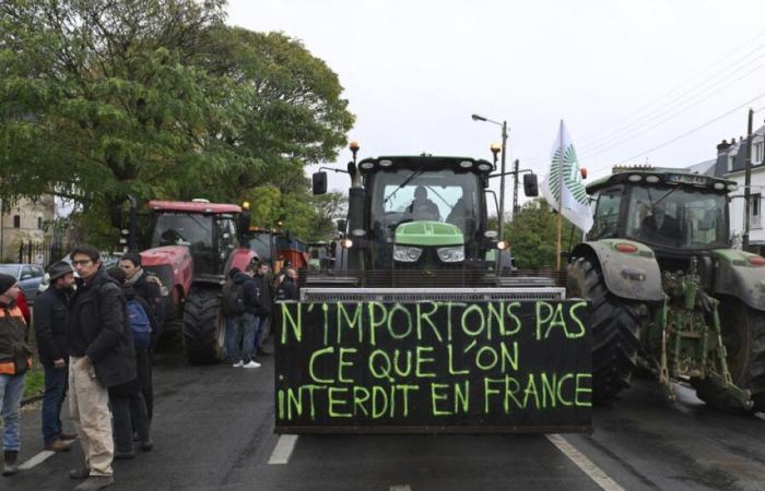 France seeks to rally a blocking minority against the trade agreement with Mercosur