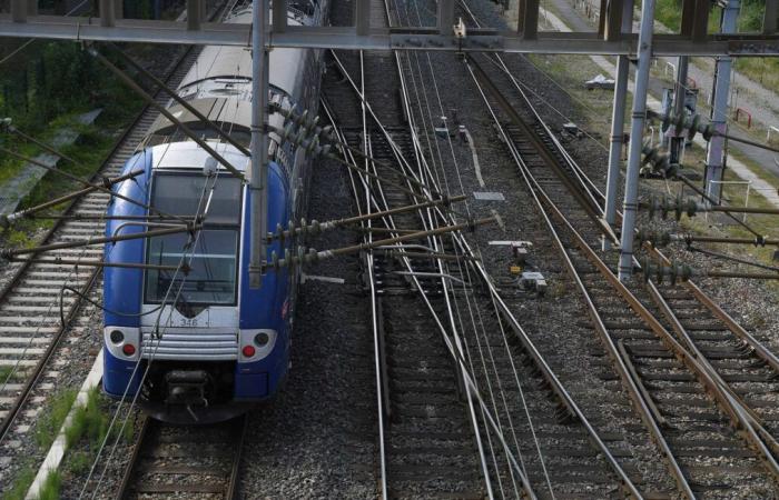 SNCF anticipates difficulties on the rails due to the storm