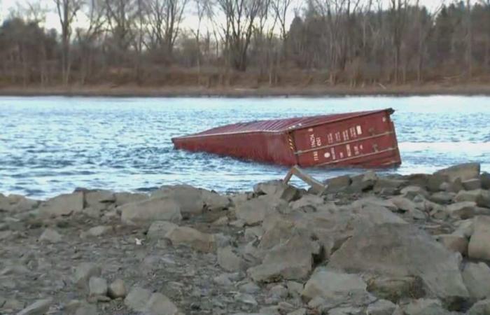 IN PICTURES | A container of teddy bears washes up on the banks of the St. Lawrence River in Boucherville